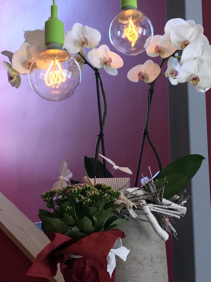 Hotel Raphael Bordighera Luaran gambar
